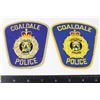 Image 1 : #679 Coaldale Police Patch Crest Insignia Variant