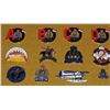 Image 12 : #559A Royal Canadian Mounted Police Pins in Frame