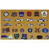Image 6 : #559A Royal Canadian Mounted Police Pins in Frame