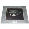 Image 6 : STAR TREK CHROMART CHROMIUM PRINT PAIR
