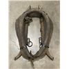 Image 2 : ANTIQUE HORSE COLLAR