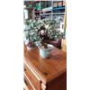 Image 2 : JADE TREE AND EASTERN VASE