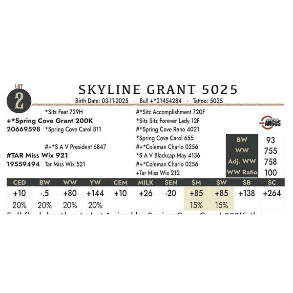 SKYLINE GRANT 5025