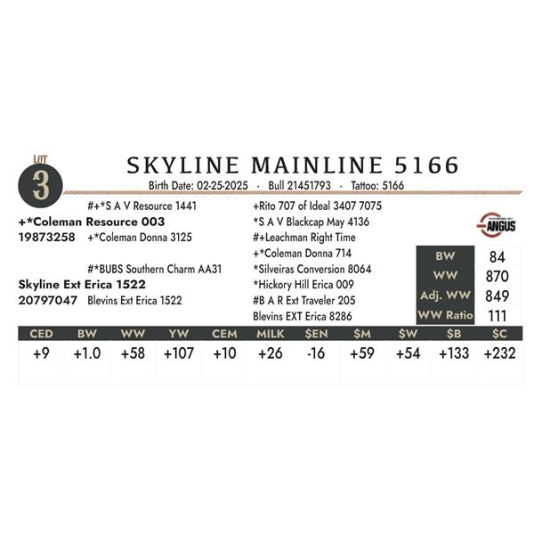 SKYLINE MAINLINE 5166
