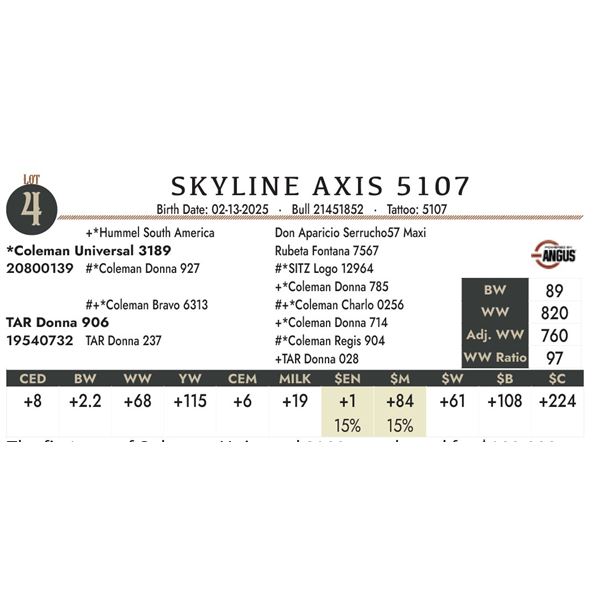SKYLINE AXIS 5107