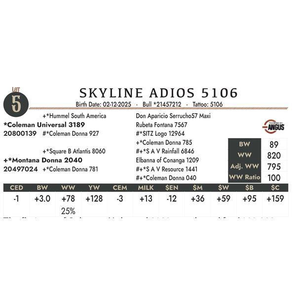 SKYLINE ADIOS 5106