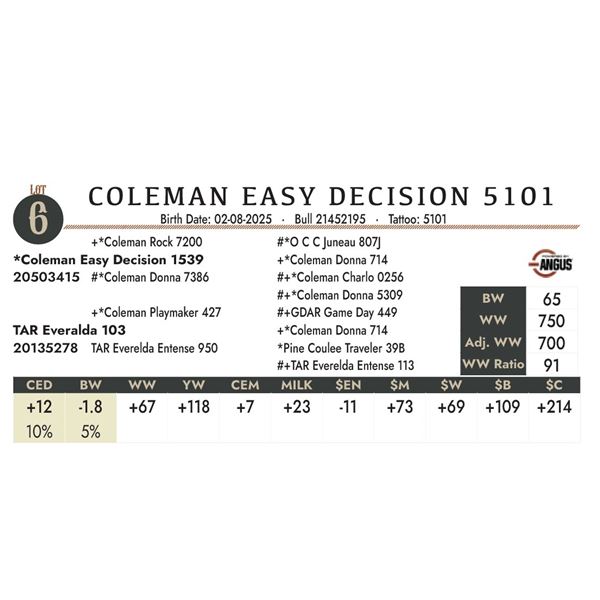 COLEMAN EASY DECISION 5101