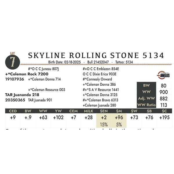 SKYLINE ROLLING STONE 5134