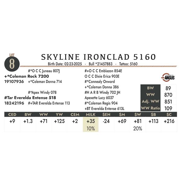 SKYLINE IRONCLAD 5160