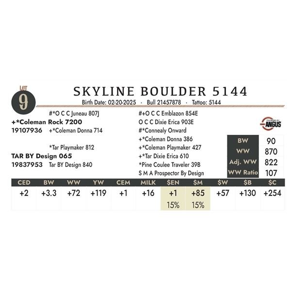 SKYLINE BOULDER 5144