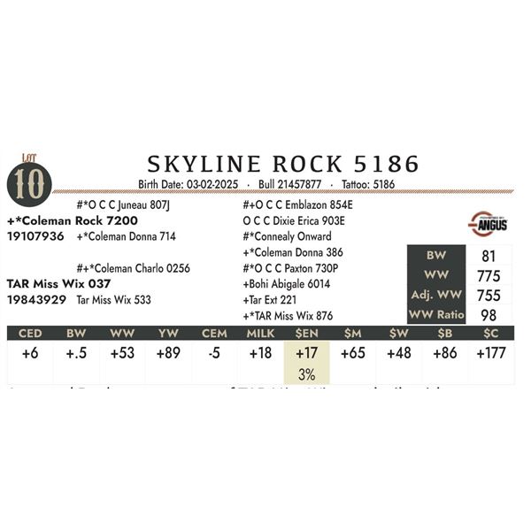 SKYLINE ROCK 5186
