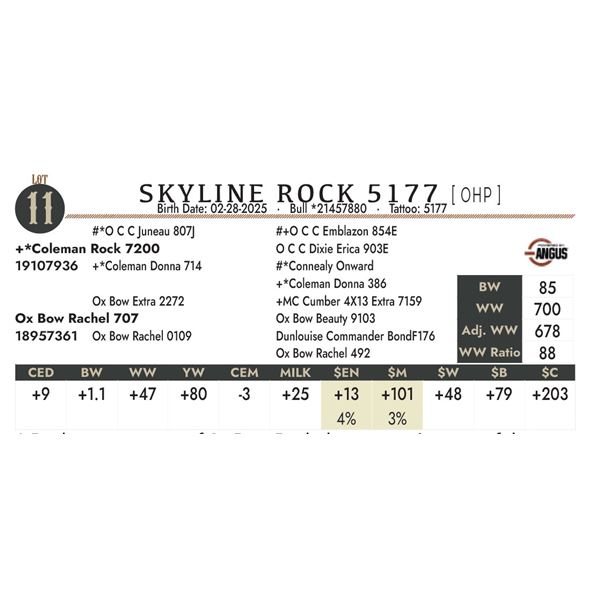 SKYLINE ROCK 5177 [ OHP ]