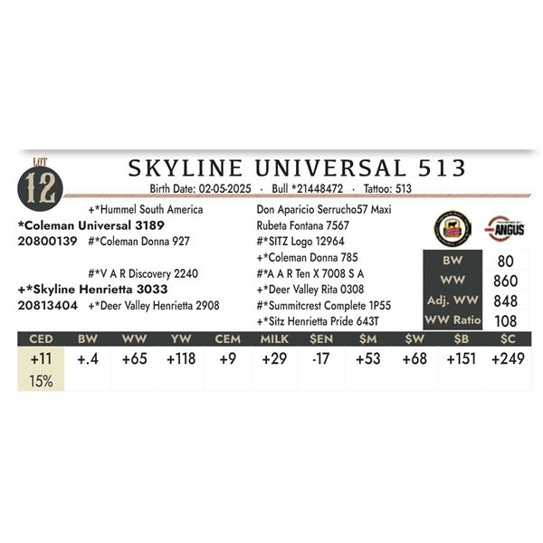 SKYLINE UNIVERSAL 513