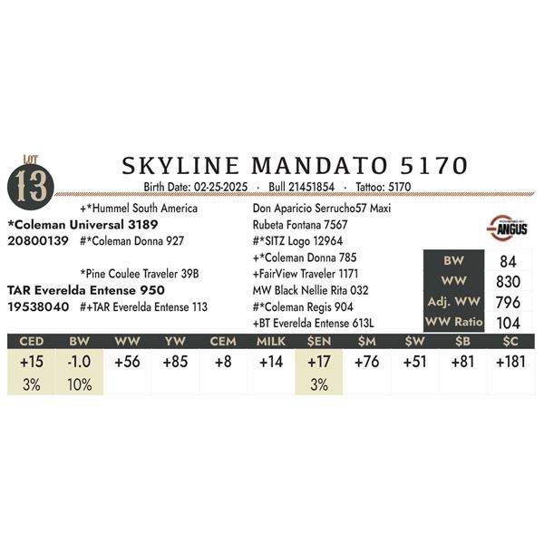 SKYLINE MANDATO 5170