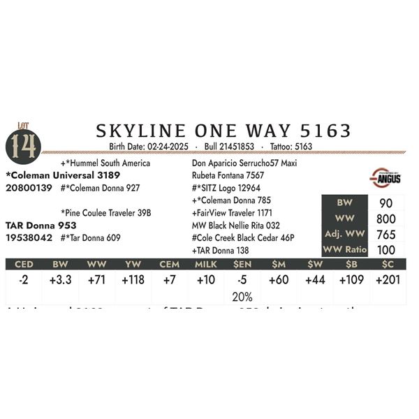 SKYLINE ONE WAY 5163