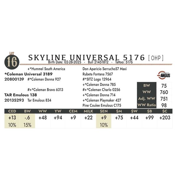 SKYLINE UNIVERSAL 5176 [ OHP ]