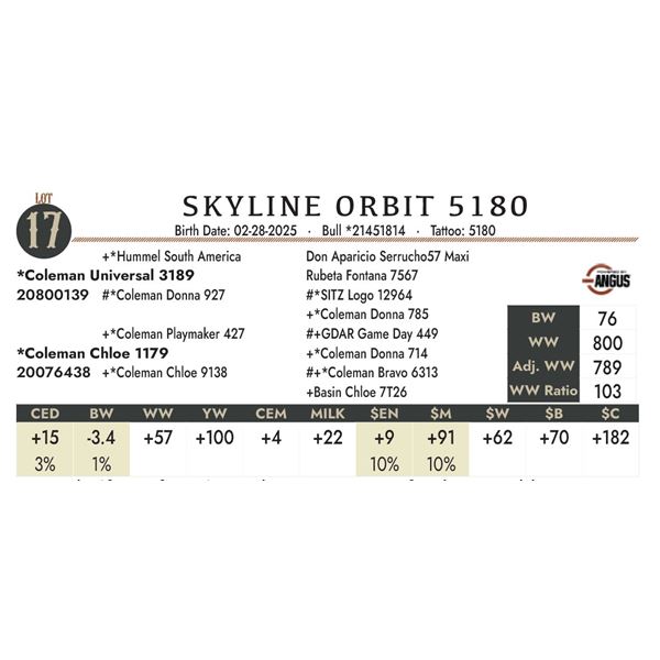 SKYLINE ORBIT 5180