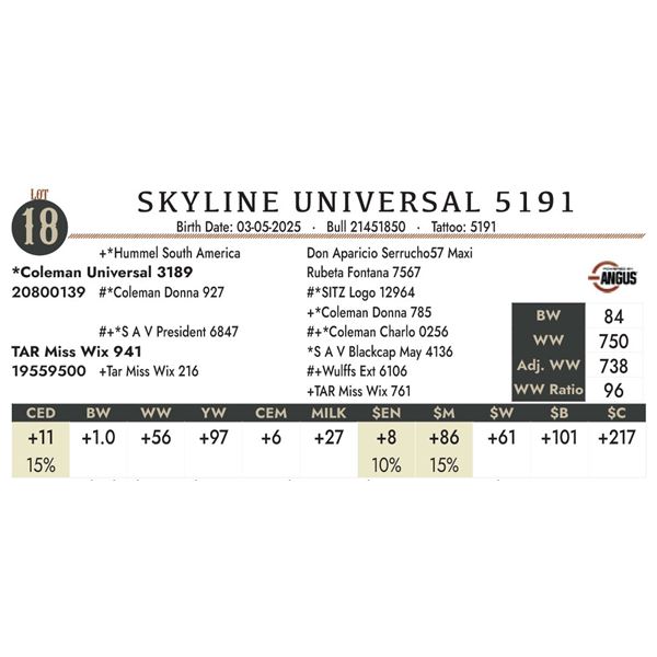 SKYLINE UNIVERSAL 5191