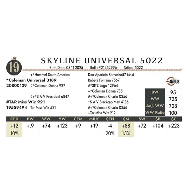 SKYLINE UNIVERSAL 5022