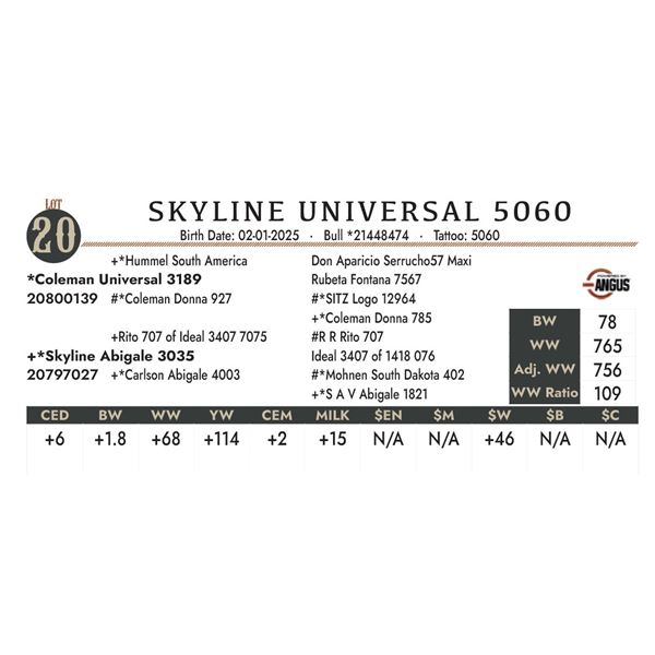 SKYLINE UNIVERSAL 5060