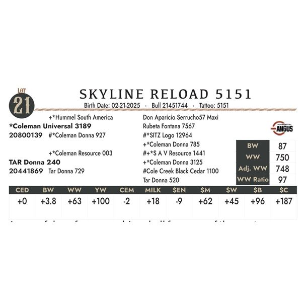 SKYLINE RELOAD 5151