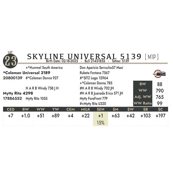 SKYLINE UNIVERSAL 5139 [ M1P ]