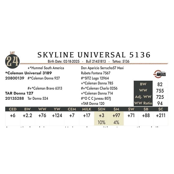 SKYLINE UNIVERSAL 5136