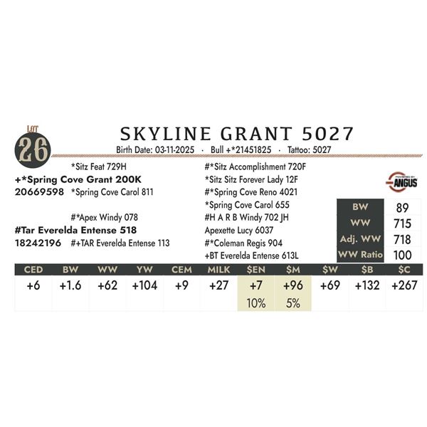 SKYLINE GRANT 5027