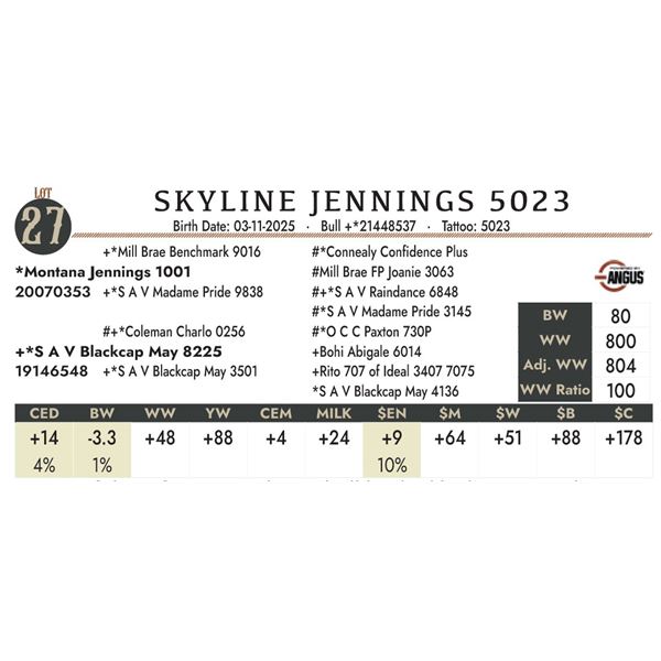 SKYLINE JENNINGS 5023