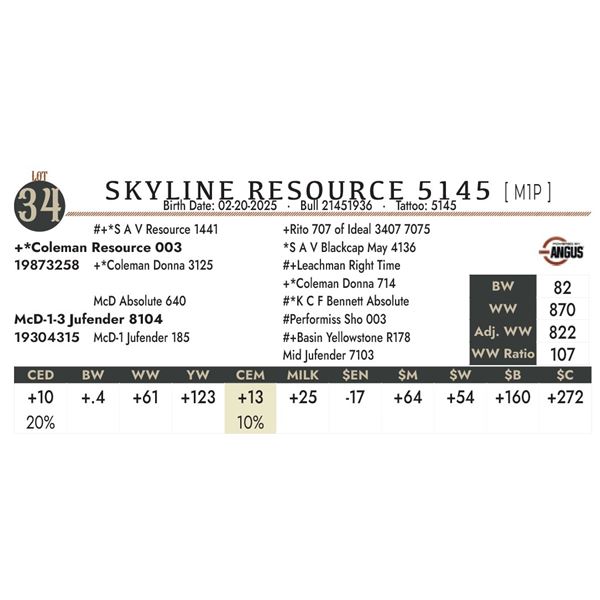 SKYLINE RESOURCE 5145 [ M1P ]