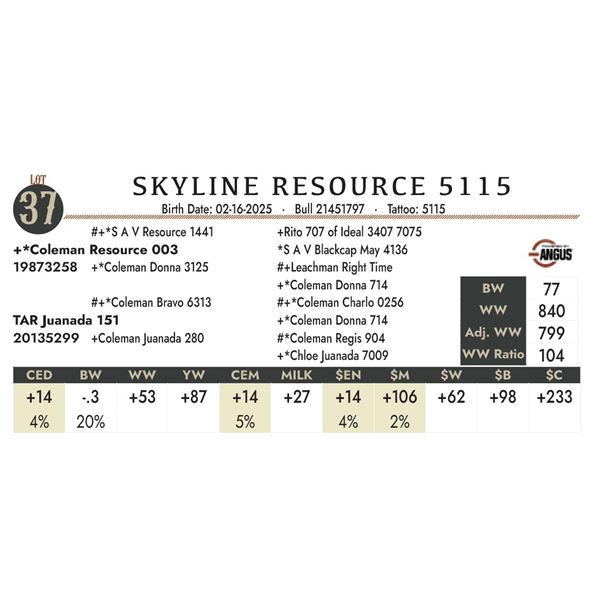 SKYLINE RESOURCE 5115