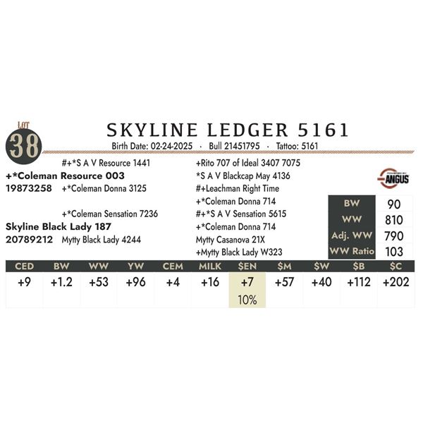 SKYLINE LEDGER 5161