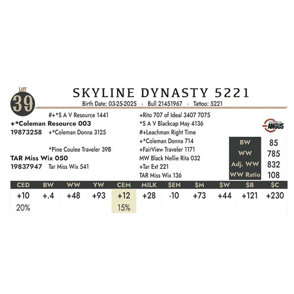 SKYLINE DYNASTY 5221