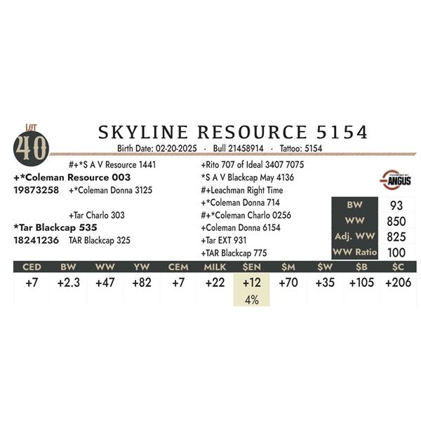 SKYLINE RESOURCE 5154