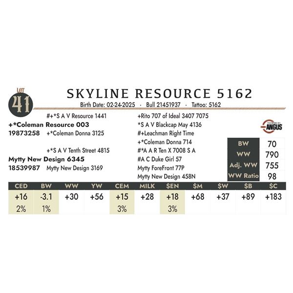 SKYLINE RESOURCE 5162