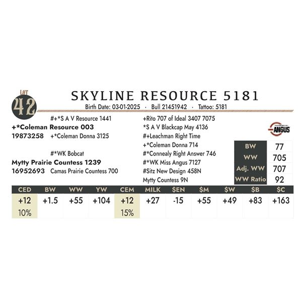 SKYLINE RESOURCE 5181