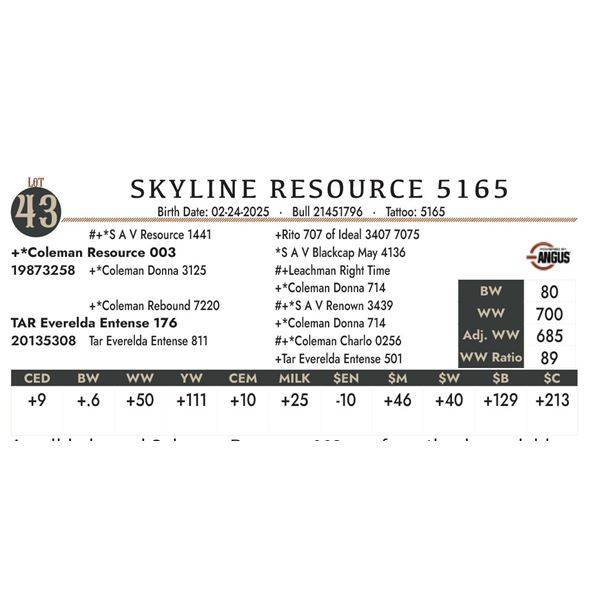 SKYLINE RESOURCE 5165