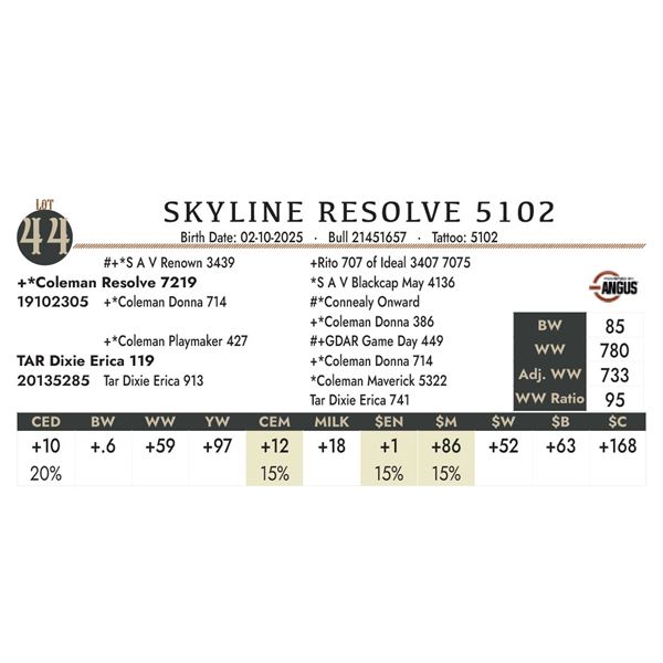 SKYLINE RESOLVE 5102