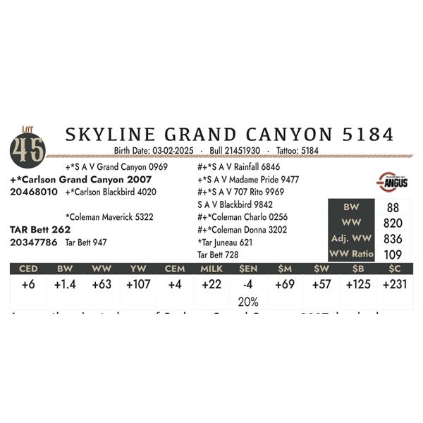 SKYLINE GRAND CANYON 5184