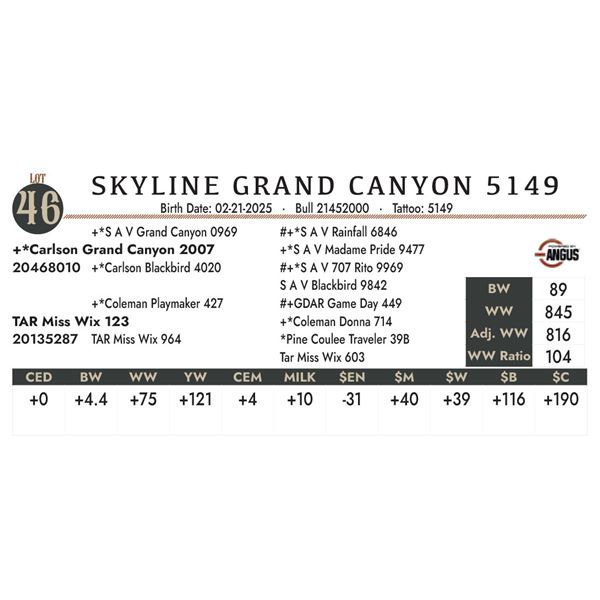 SKYLINE GRAND CANYON 5149