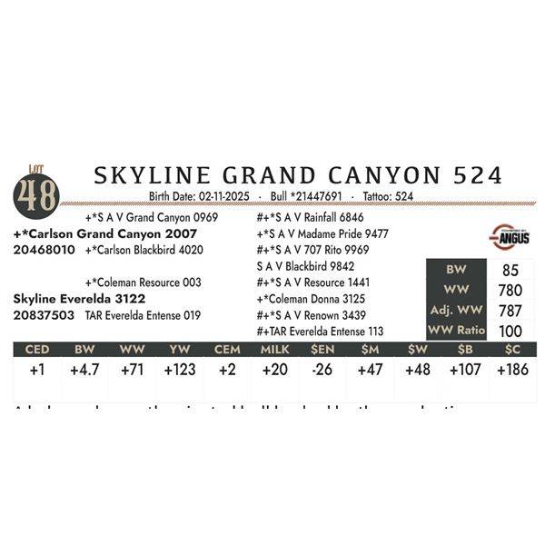 SKYLINE GRAND CANYON 524