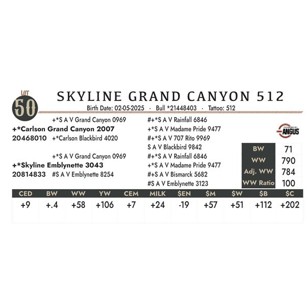 SKYLINE GRAND CANYON 512