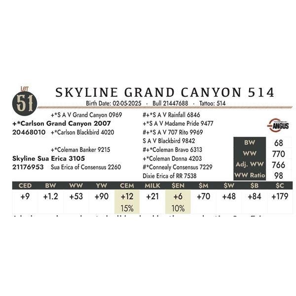 SKYLINE GRAND CANYON 514