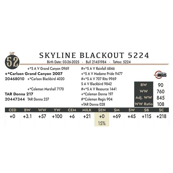 SKYLINE BLACKOUT 5224