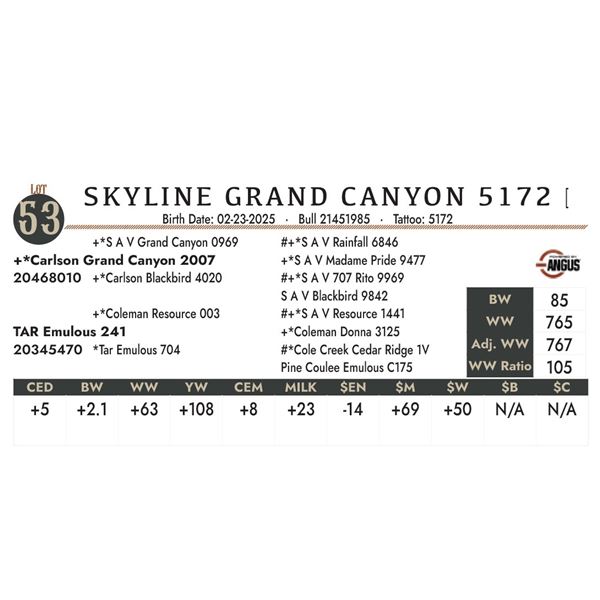 SKYLINE GRAND CANYON 5172