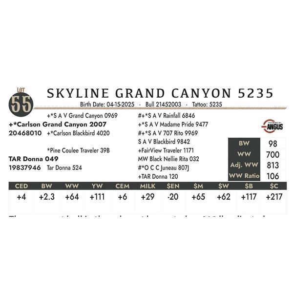 SKYLINE GRAND CANYON 5235