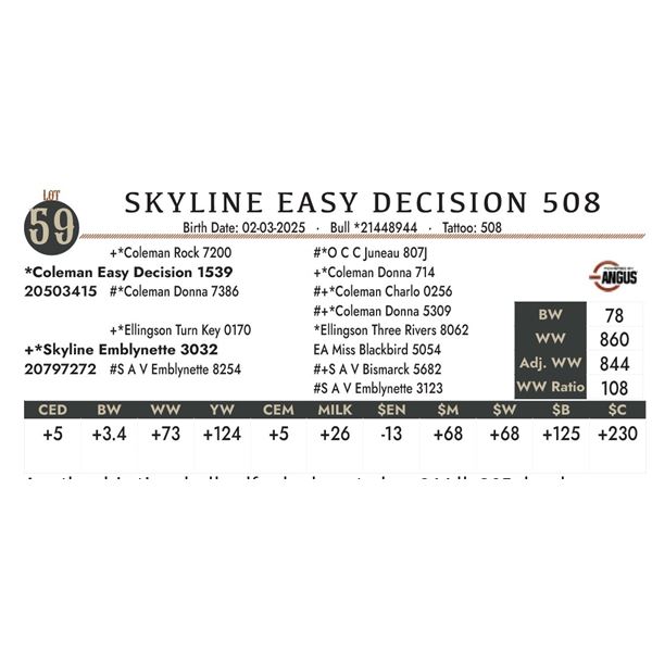 SKYLINE EASY DECISION 508