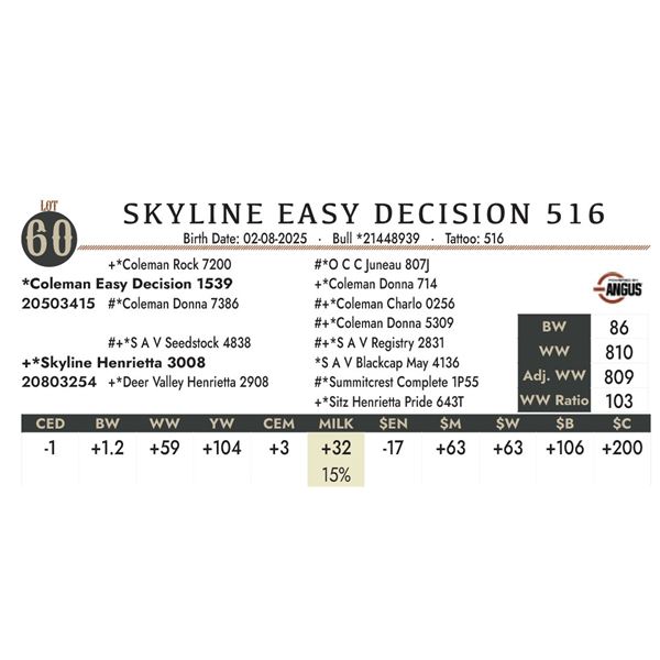 SKYLINE EASY DECISION 516