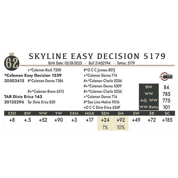 SKYLINE EASY DECISION 5179
