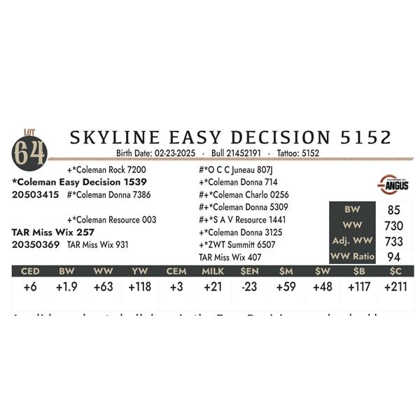 SKYLINE EASY DECISION 5152
